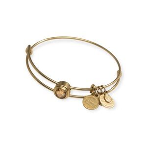 Alex and Ani 𖦹 Bezel Set Topaz Station Nov Birthstone Bangle Bracelet 𖦹 Gold